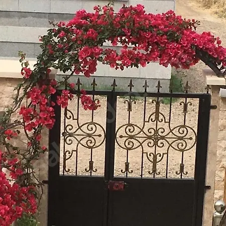 アパート Ayvilla 1 Garden Floor With Garden Use, Sea View *